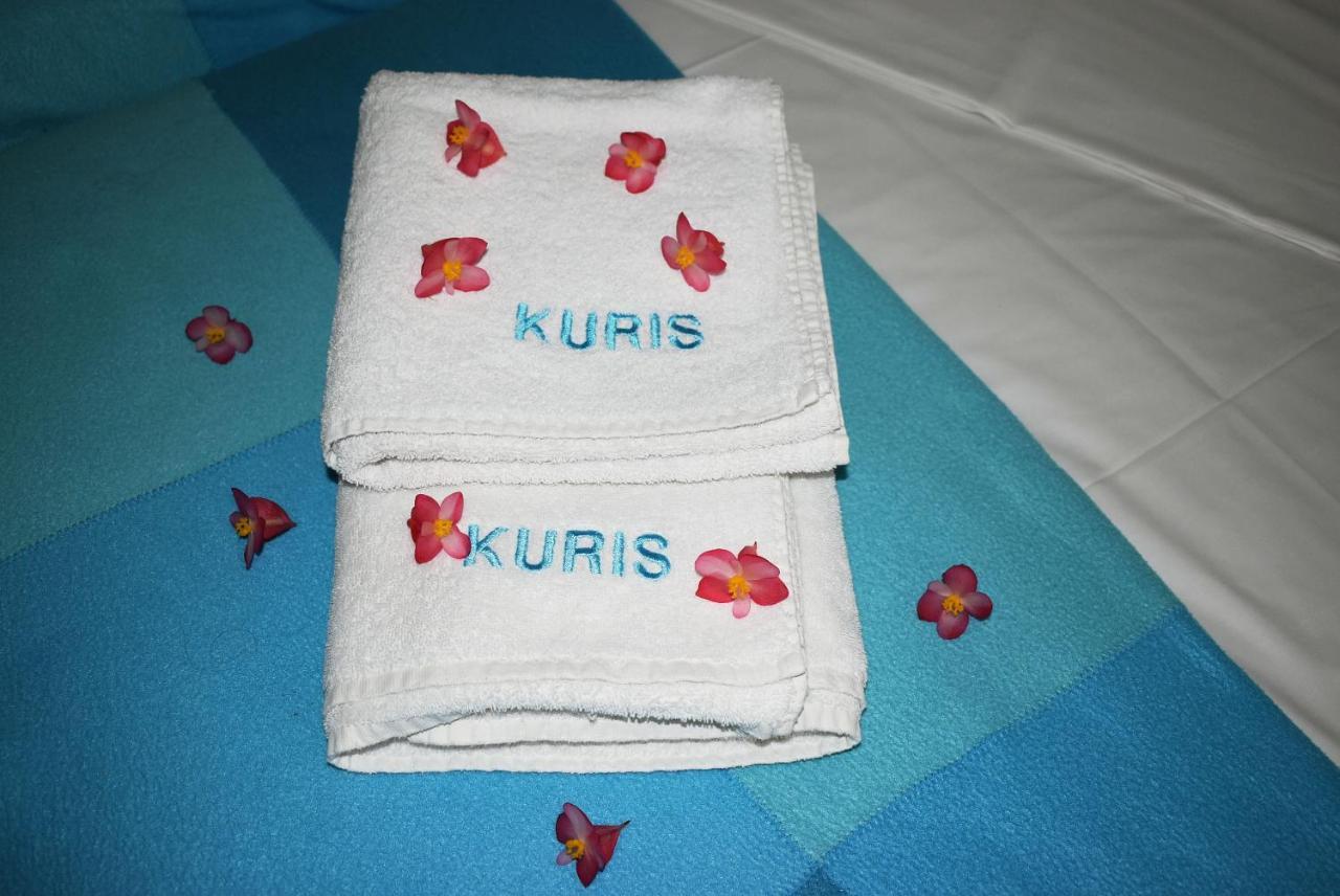 Kuris Studios & Apartments Vasilikos  Ngoại thất bức ảnh
