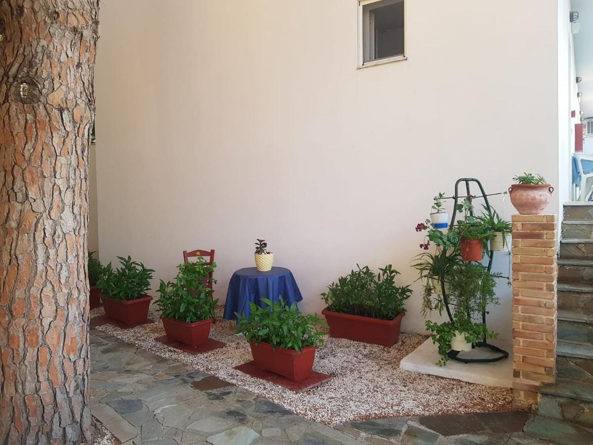Kuris Studios & Apartments Vasilikos  Ngoại thất bức ảnh